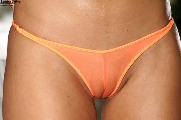 Orange Cameltoes #92162247