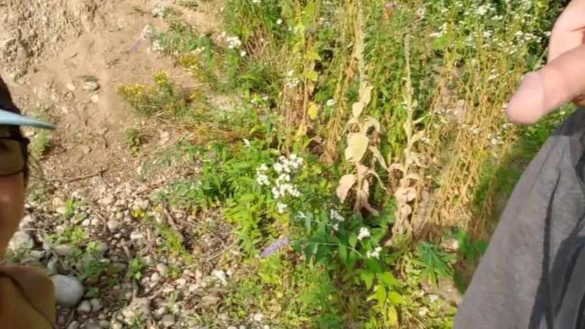 La mia nuova fidanzata e una grande maiala #81510530