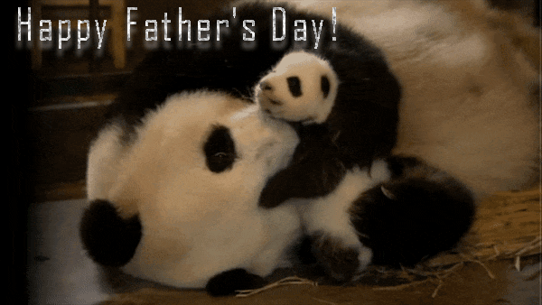 Father day gifs #92848709
