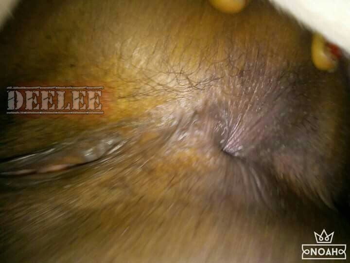 Png 2k20  milfs exposed #95042676