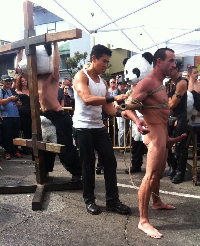 Daring in public 8 #90137234