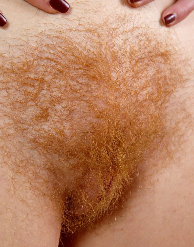 Vello púbico naranja rústico y oxidado #29
 #96894354