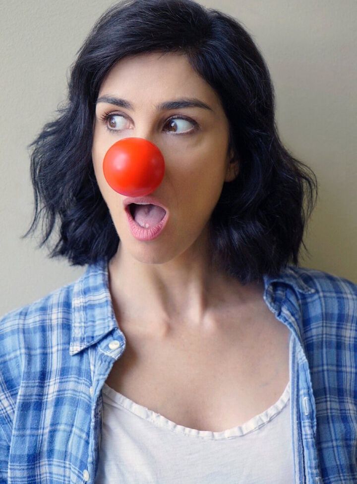 Sarah Silverman nude #109087499