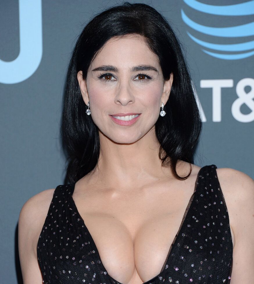 Sarah Silverman nude #109087504