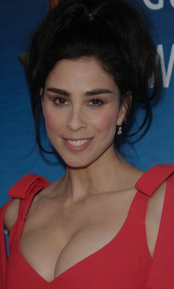 Sarah Silverman nude #109087516