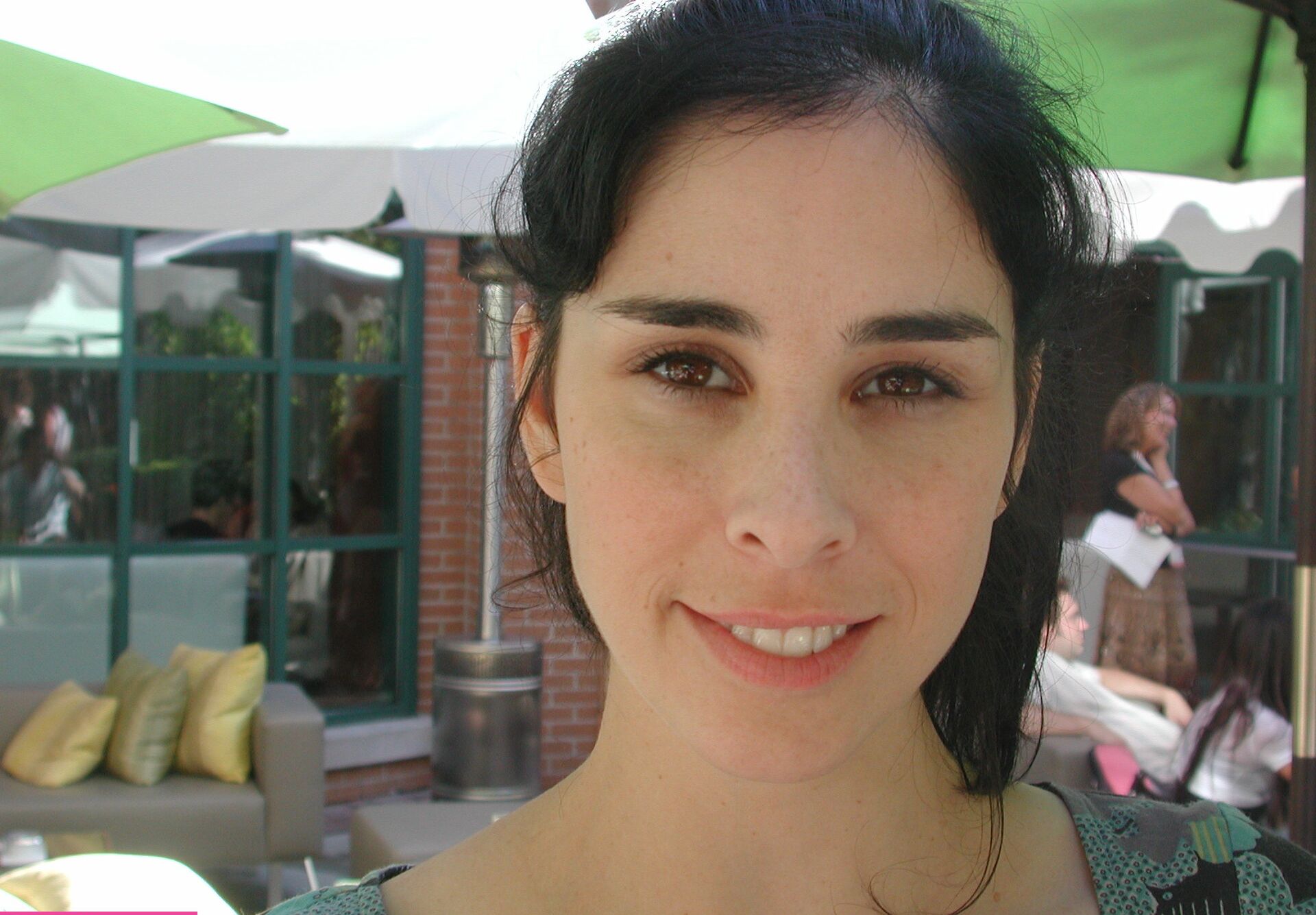 Sarah Silverman nude #109087535