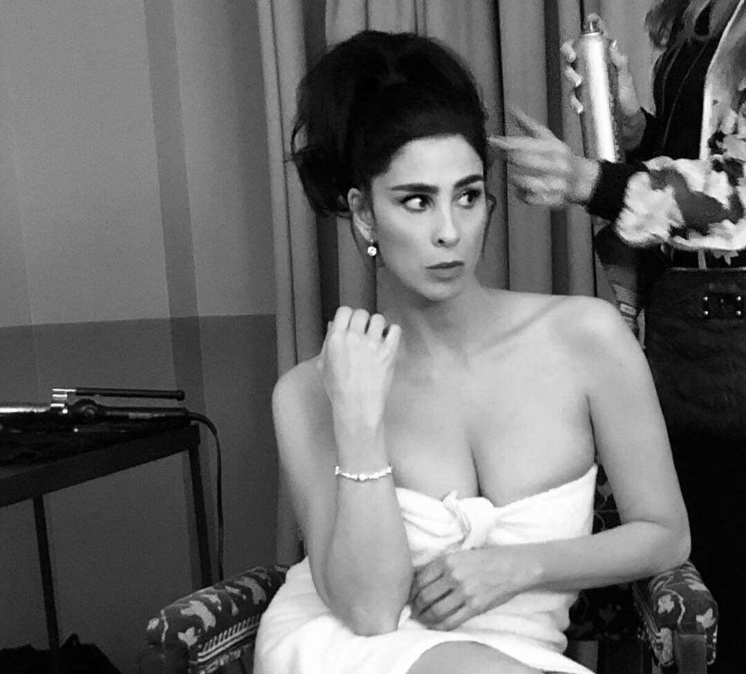 Sarah Silverman nude #109087556