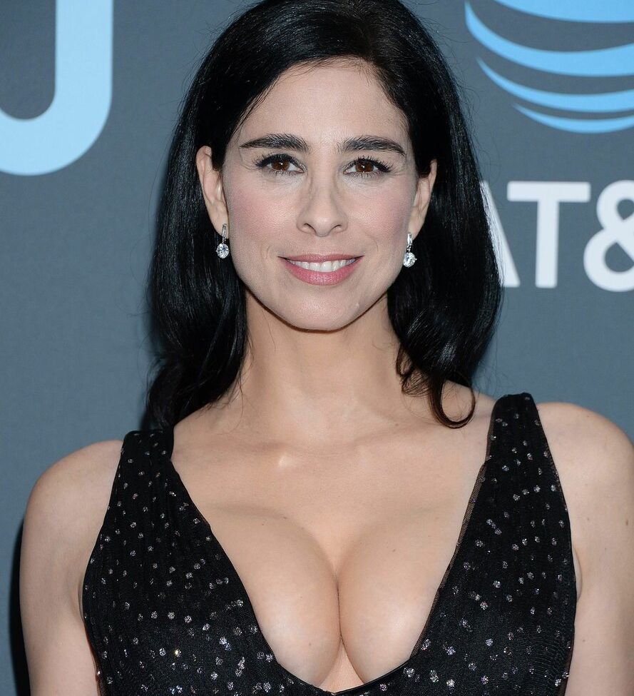 Sarah Silverman nude #109087609