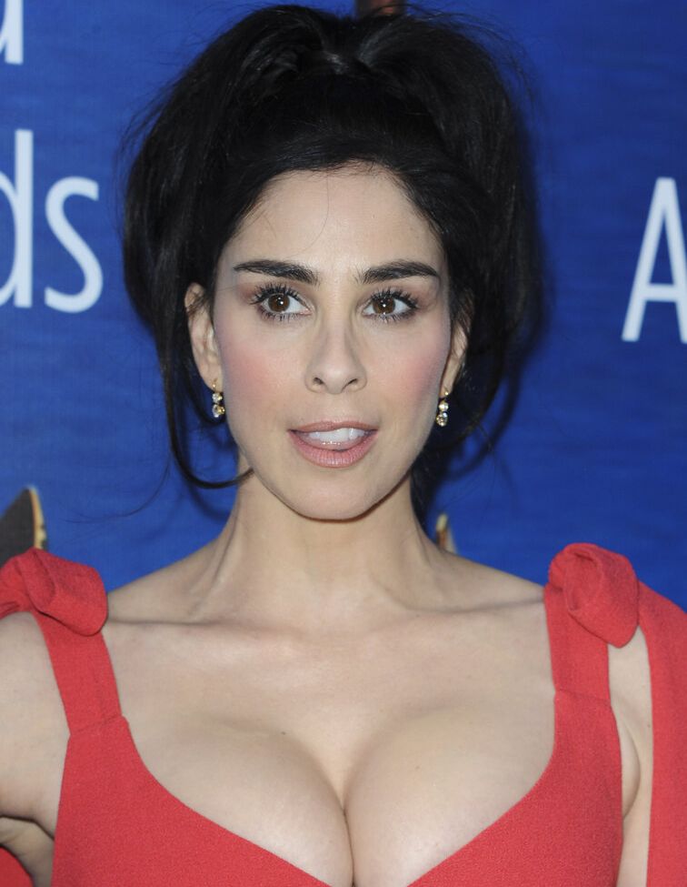 Sarah Silverman nude #109087612