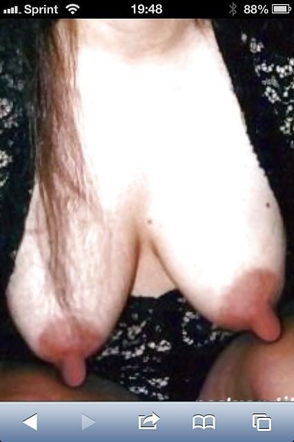 ANF #94868459