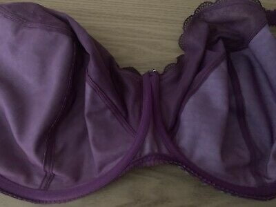 Reggiseno Ebay
 #80989242