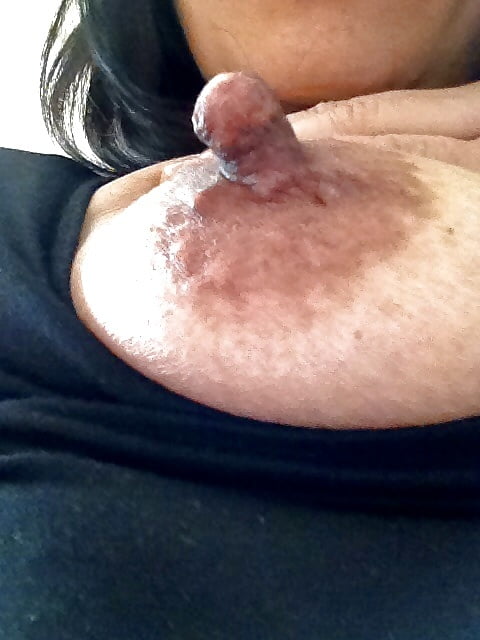 Pointers and Puffies #93548606