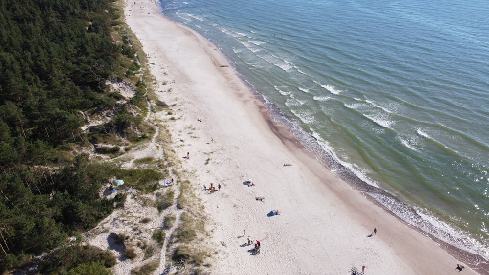 palanga nude beach #81575955