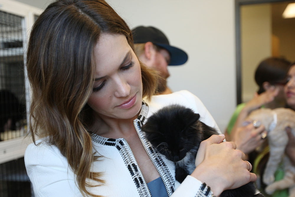 Mandy moore - purina cat chow "building better lives" (2014)
 #87676814
