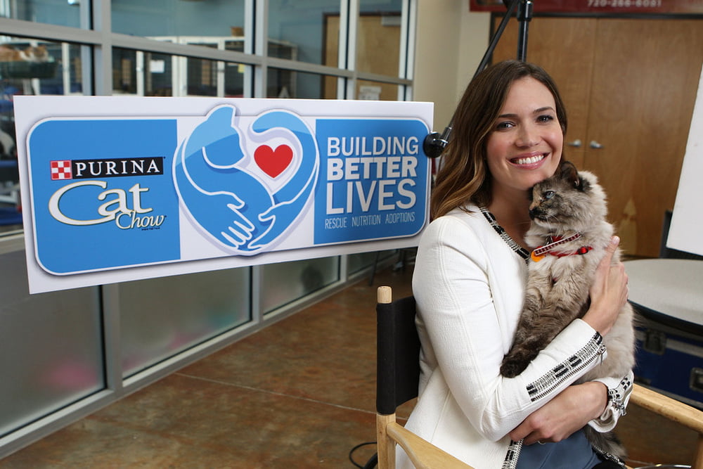 Mandy moore - purina cat chow "building better lives" (2014)
 #87676817