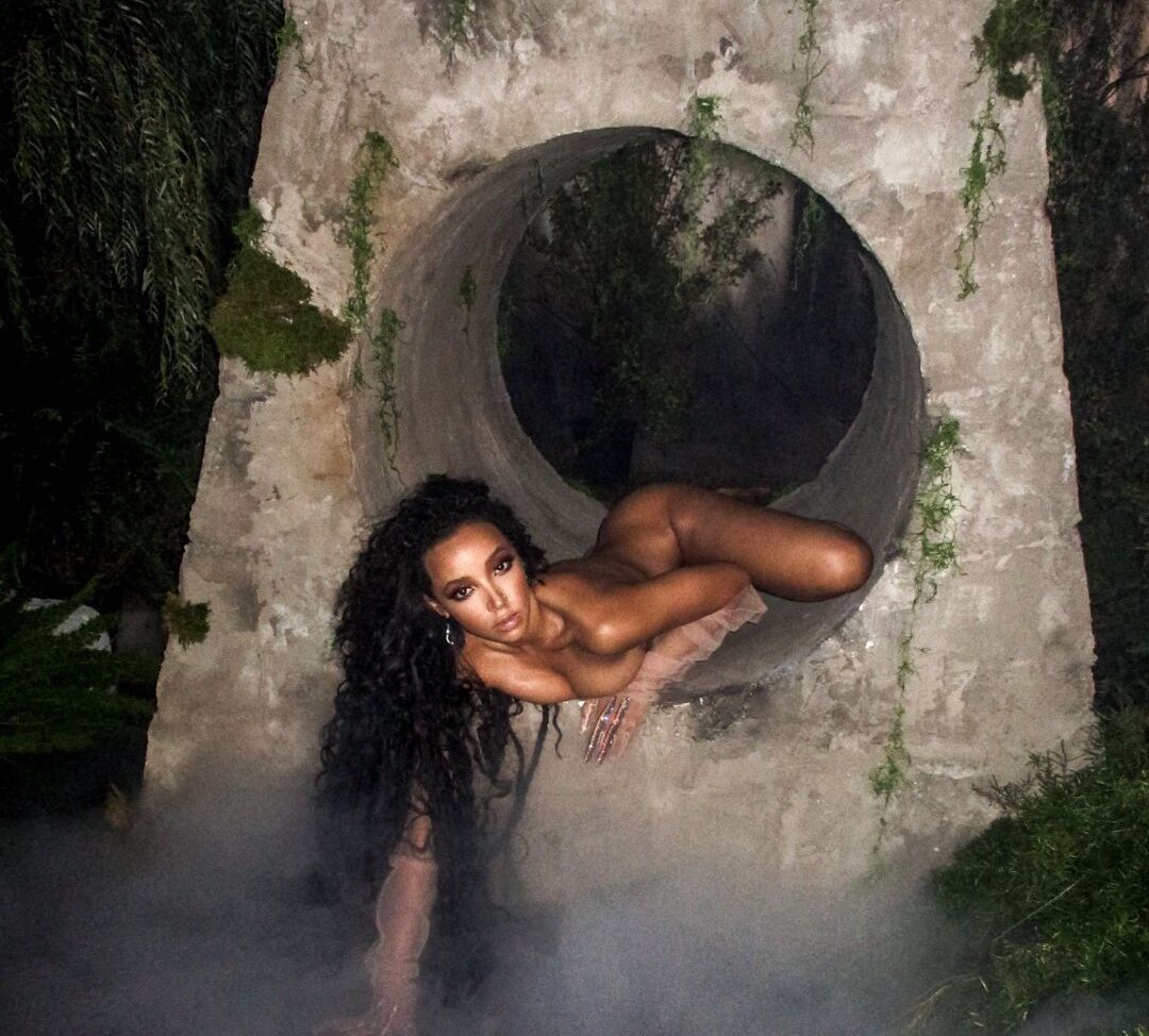 Tinashe desnuda #109099397