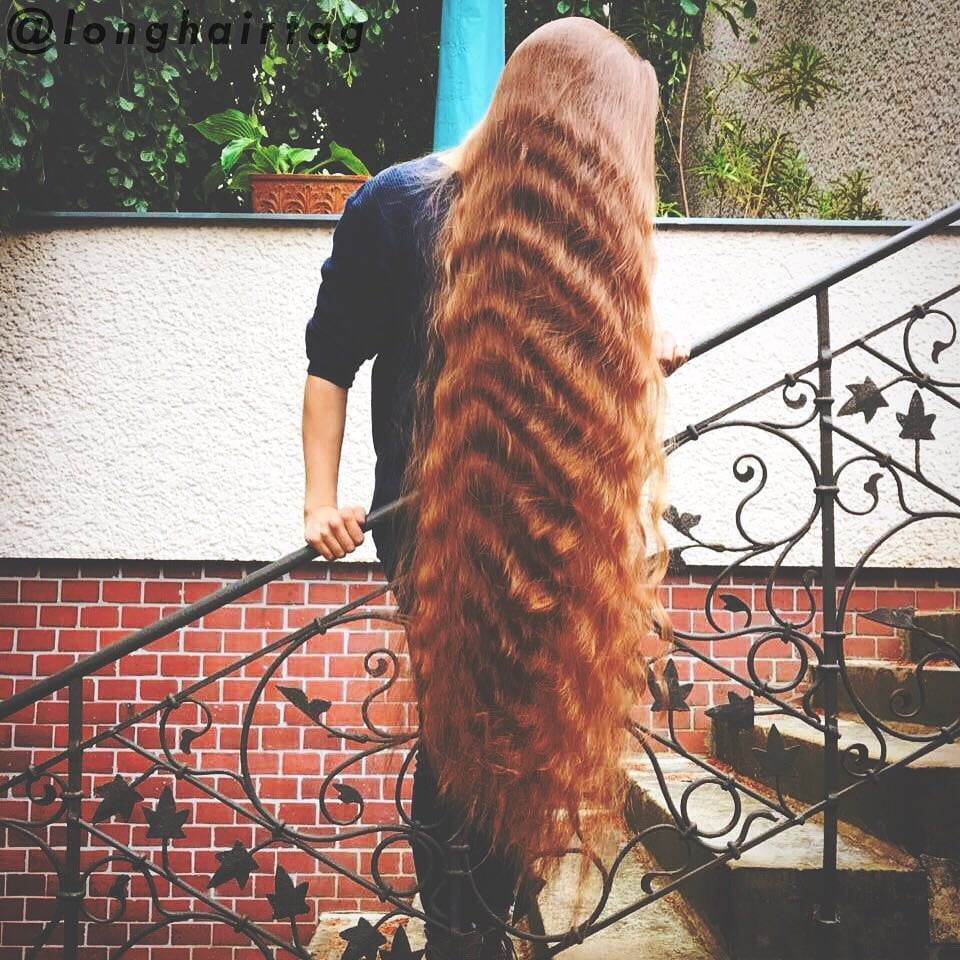 Pelos largos al azar 2
 #96052665