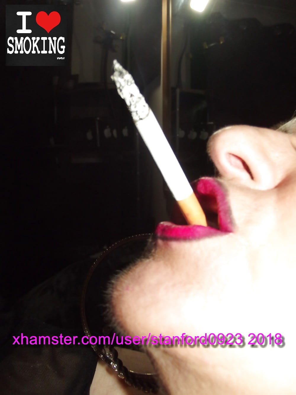SMOKING SLUT HAMSTER 2018 #107161026