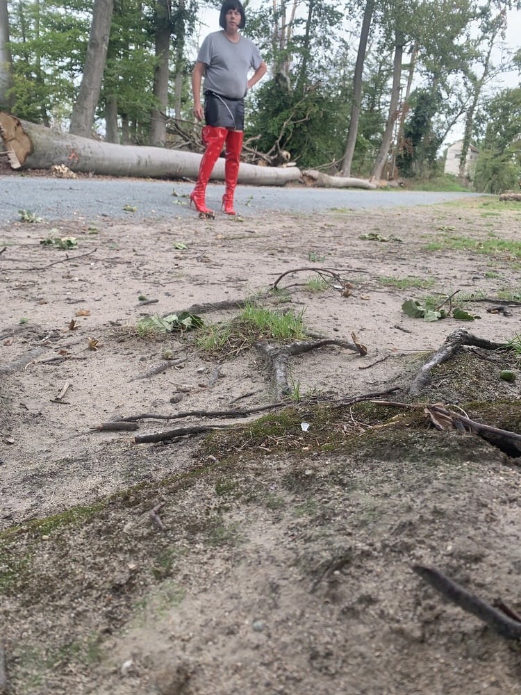 Bornbruchsee #80478605