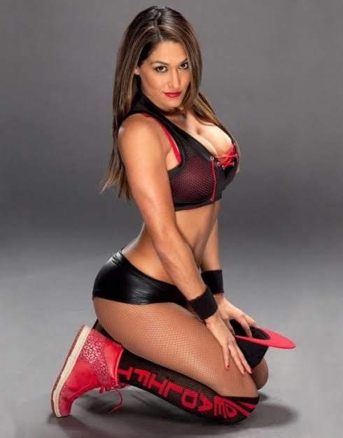 Nikki bella  sexy pussy #104892599