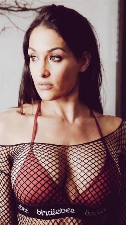 Nikki bella  sexy pussy #104892622