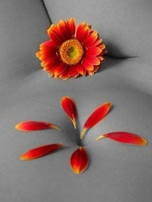 Schwarz oder weiß 6
 #94464497