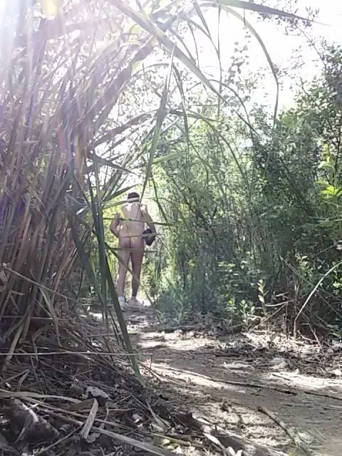 Cruzing for cock #107007598