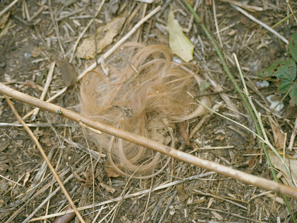 Strassenstrich-geil
 #92732019