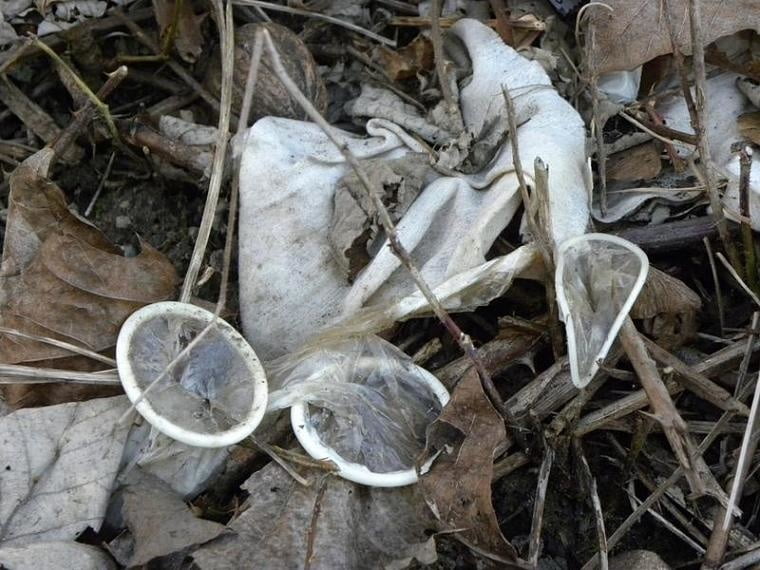 Strassenstrich-geil
 #92732049