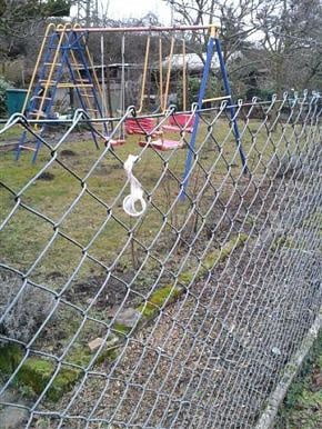 Strassenstrich-geil
 #92732052