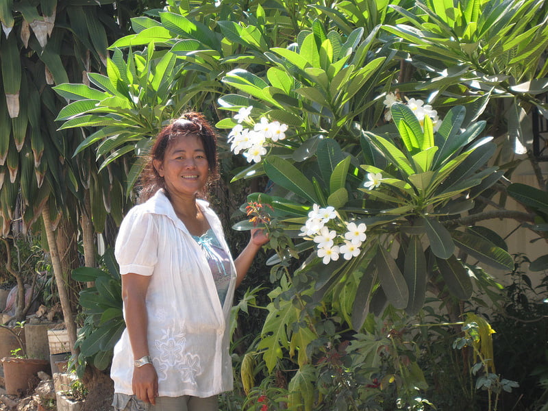 5. thailändische Frau ausgesetzt
 #91002237