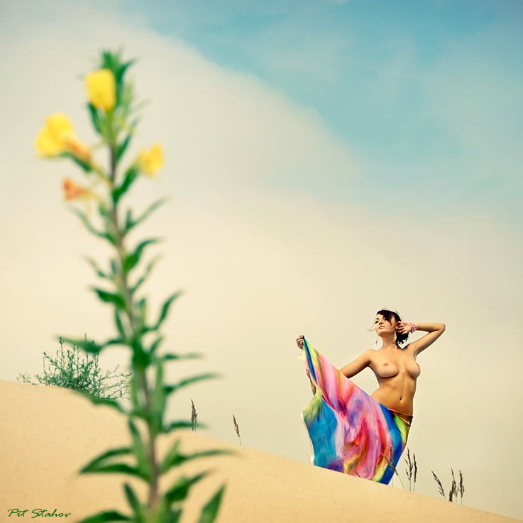 Nuevo 1139 en color.
 #90214753