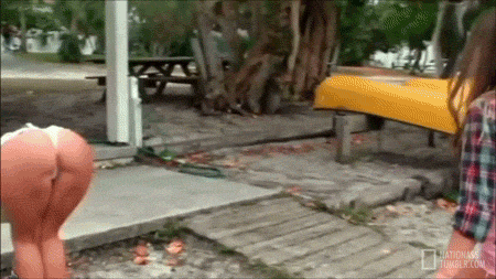 お尻のパンティ（顔なし） gif
 #93235347