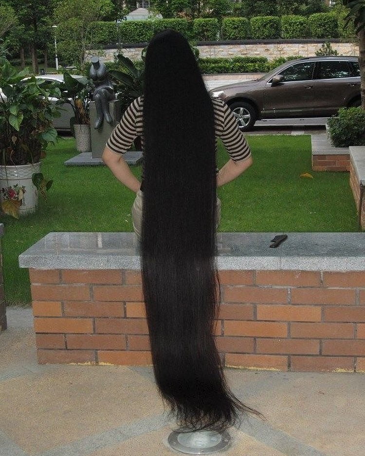Cheveux longs sexy rapunzels
 #95465313