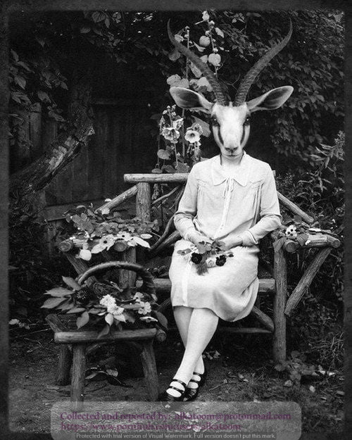 Satanic Symbols Photo Collection 3 #98118637