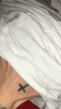 boobies #107075173