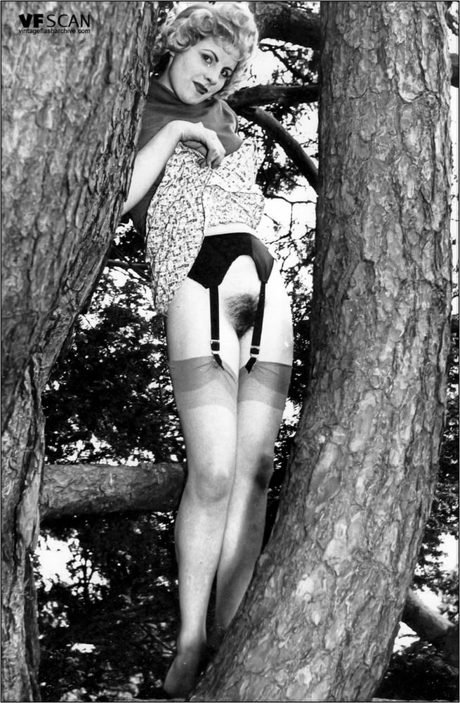 ネイチャー
 #98784108