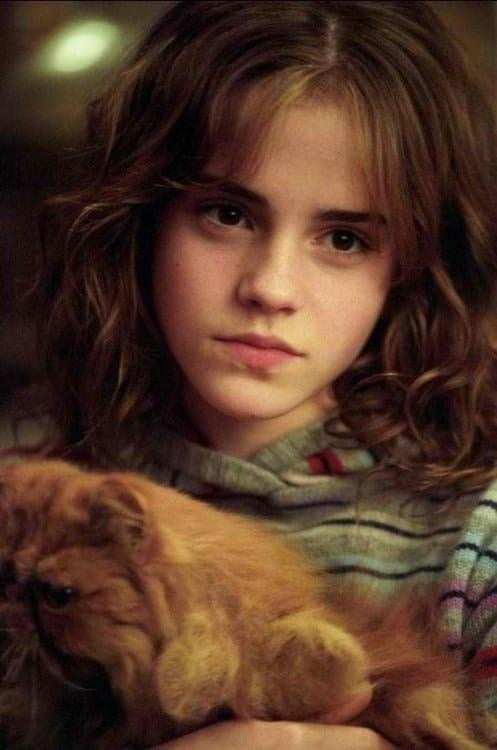 Emma watson fr
 #92742338