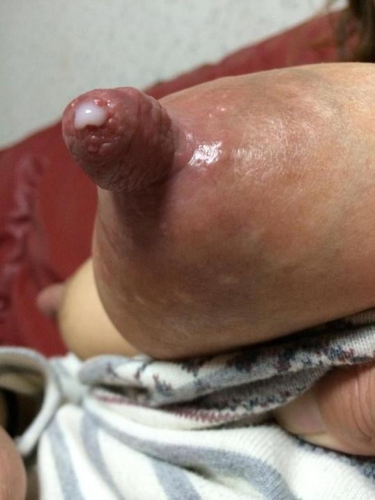 LACTATING UDDERS #88676821