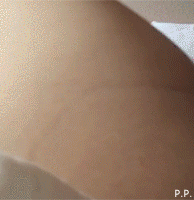 Gifs trovati in rete
 #94181333