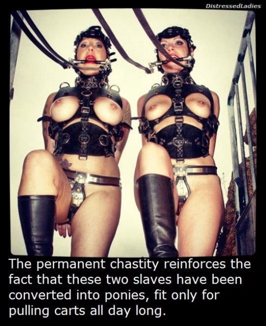Chastity Belt and more -BDSMlr 23 #102247159