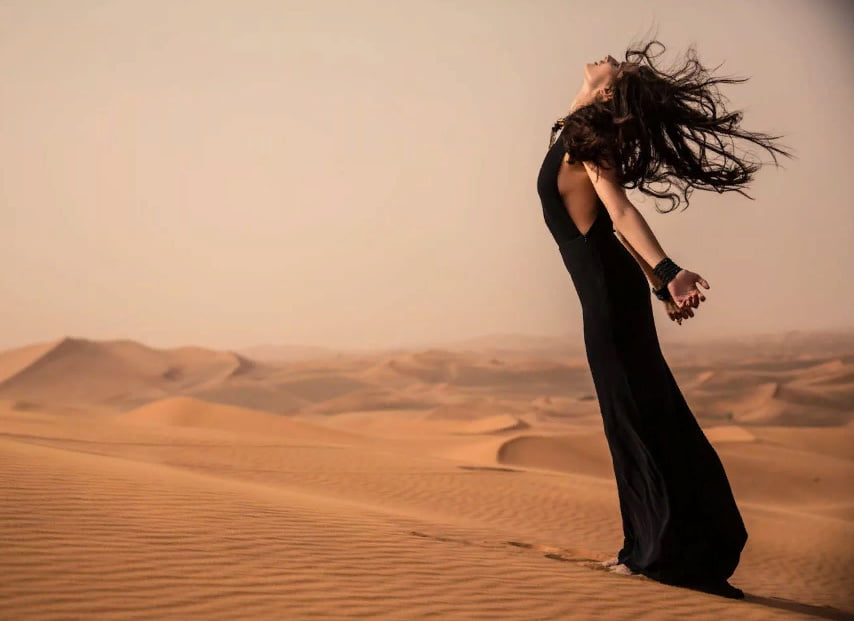 Desert butterfly #90573836
