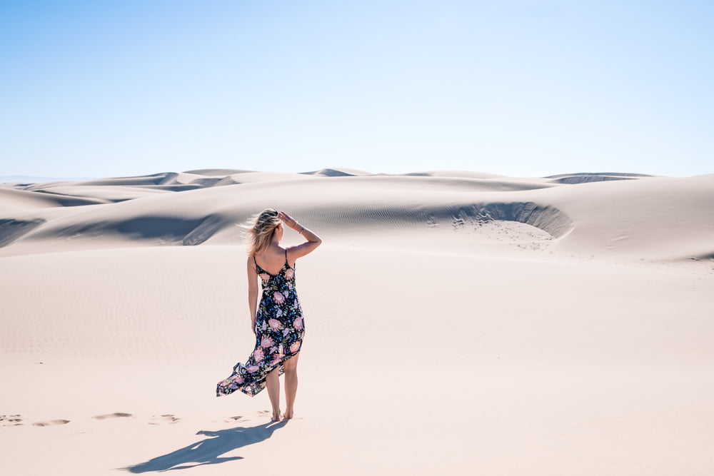 Desert butterfly #90573839