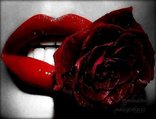 Tolle Bilder, wunderschoene geschmackvolle fotos
 #99337826