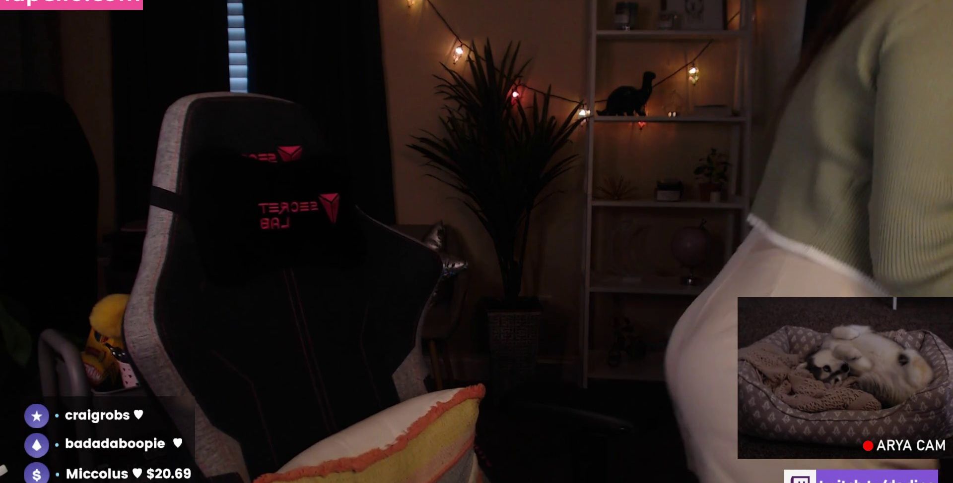 ASMR Darling desnuda #109200108