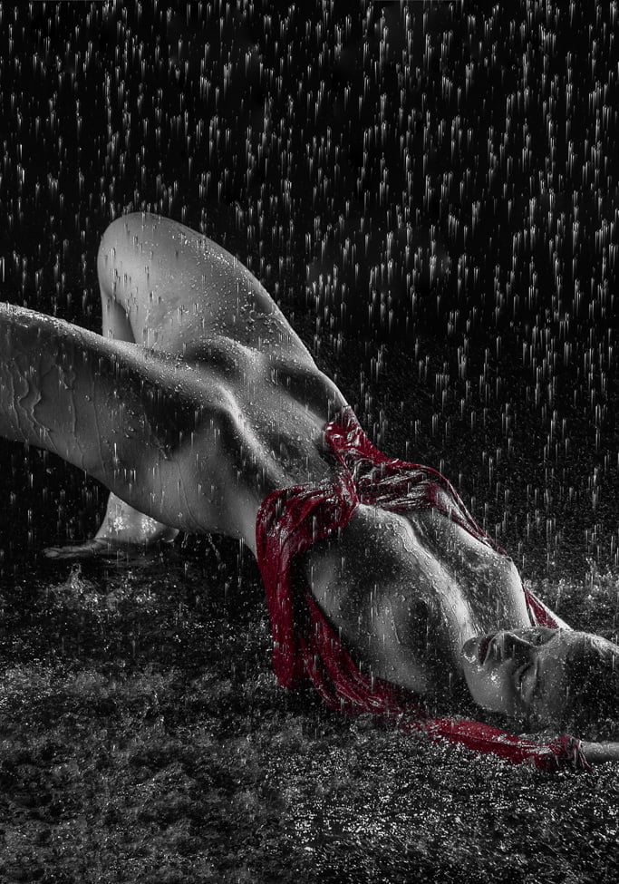 リッチな写真
 #91537882