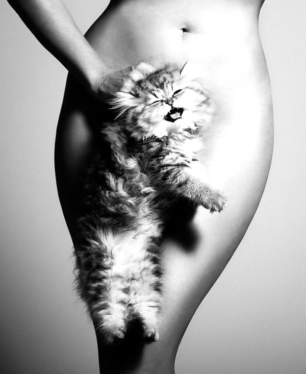 リッチな写真
 #91537922