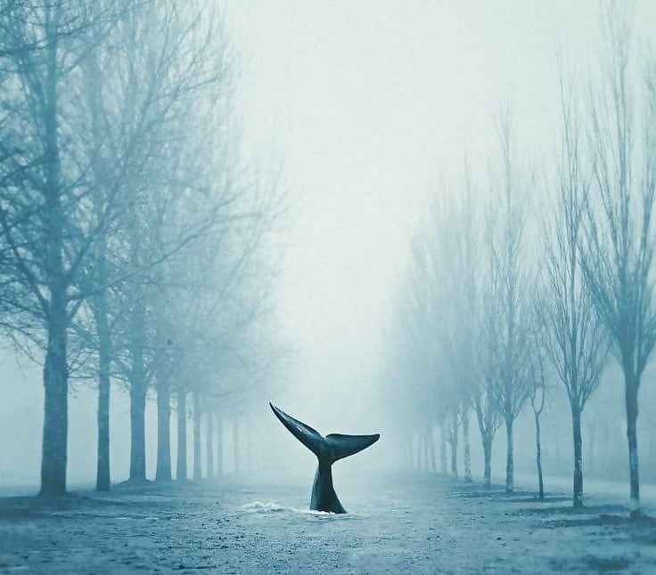 リッチな写真
 #91537983