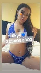 Skyy_banxx20
 #92621601