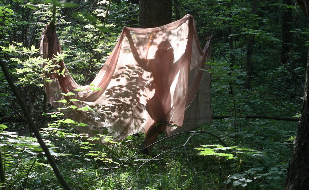 影絵劇場
 #106723020